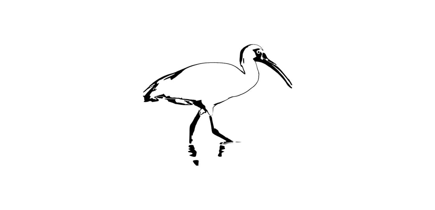The Ibis project logo, which is a tall, black and white bird.